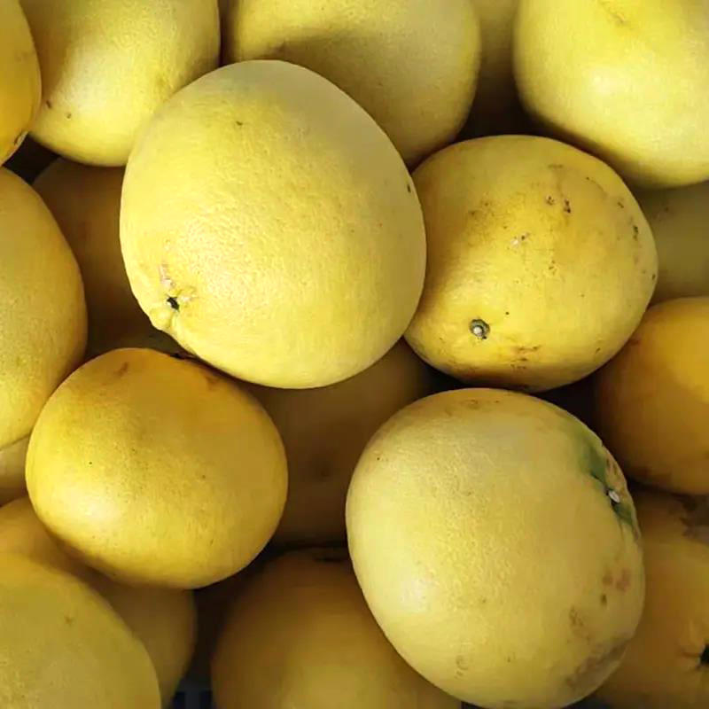 限时秒杀『黄金葡萄柚花皮果』皮薄多汁 清甜柔嫩