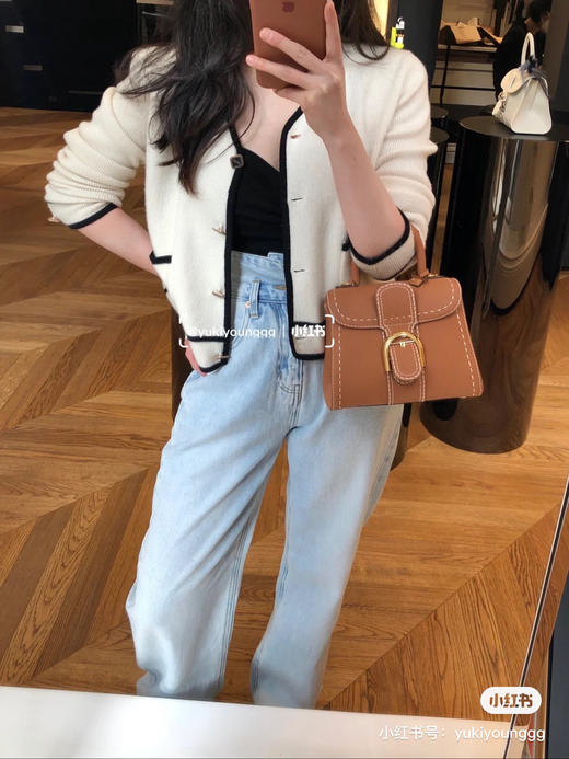 Delvaux brillant 手提斜挎包 商品图8