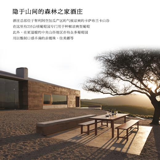 【IWSC国际葡萄酒暨烈酒大赛金奖】卡萨博斯克 阿空加瓜·布兰卡山谷·黑皮诺 商品图7