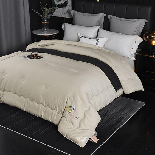 【轻生活】3A云绒纤维秋冬厚款生姜驱寒暖绒被ZP111 商品图1