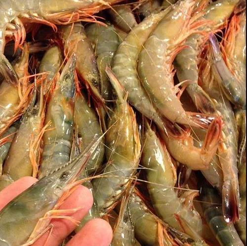 码头直发 象山海鲜套餐 商品图8