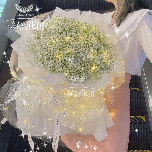 粉色满天星花束 浪漫情人节送女朋友老婆朋友生日告白求婚双11光棍节脱单送女友表白 绿韵花田鲜花店 粉色满天星花束 浪漫情人节送女朋友老婆朋友生日告白求婚双11光棍节脱单送女友表白 绿韵花田鲜花店