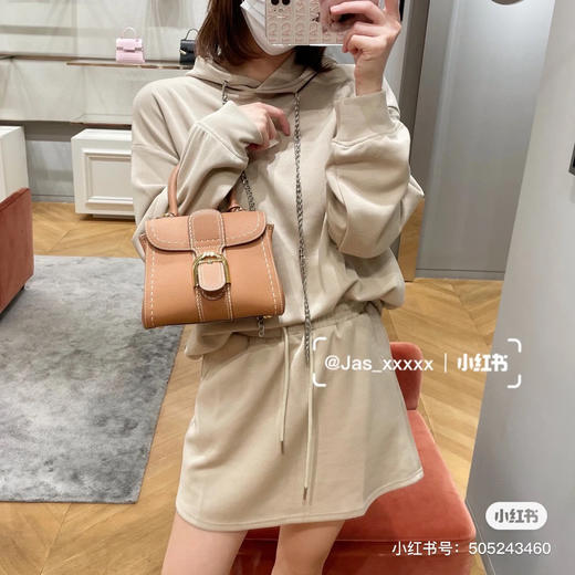 Delvaux brillant 手提斜挎包 商品图5