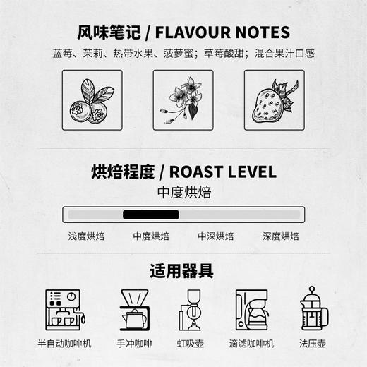 【咖啡熟豆】WOW咖啡豆250g 拼配豆 中度烘焙 王力咖啡 商品图2