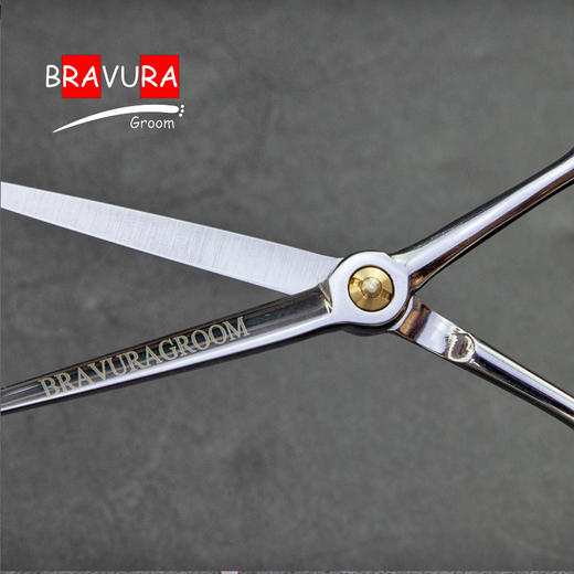 迷你鲍勃剪 5.5寸猫咪剪 意大利BRAVURAGROOM宠物美容L系列 商品图2