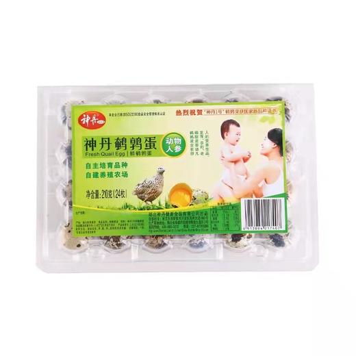 神丹鹌鹑蛋24枚（鲜） 商品图1