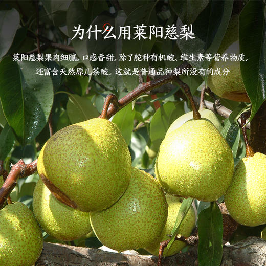 佐以六年窖藏年份醋非遗传承慢火熬制而成的小醋梨膏 160g/瓶 商品图2