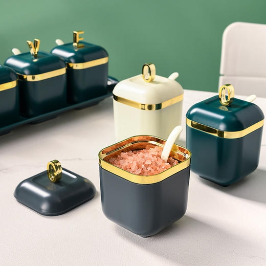 【日用百货】轻奢镀金调味盒套装 厨房盐味精收纳瓶 商品图2