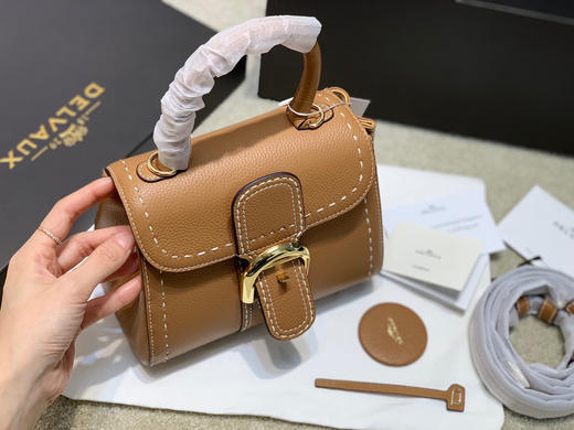 Delvaux brillant 手提斜挎包 商品图1