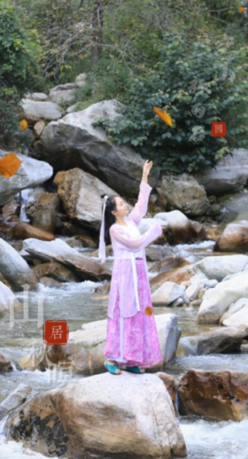 终南山大峪 · 空山新雨后 天气晚来秋