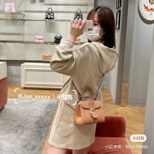 Delvaux brillant 手提斜挎包 商品图6