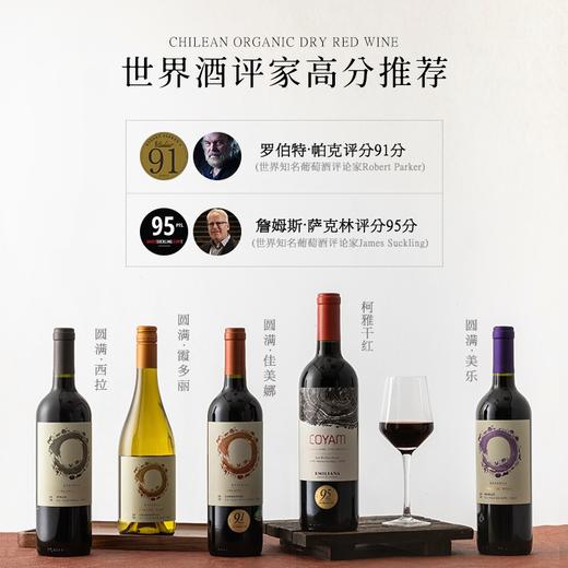 【世界葡萄酒品牌50强】柯雅干红葡萄酒 智利空加瓜谷产区 13.5%vol 商品图2