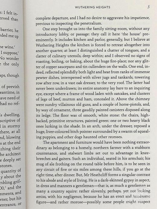 【中商原版】Wuthering Heights:  (Penguin Classics Deluxe Edition) 呼啸山庄 企鹅兰登封面展 商品图4