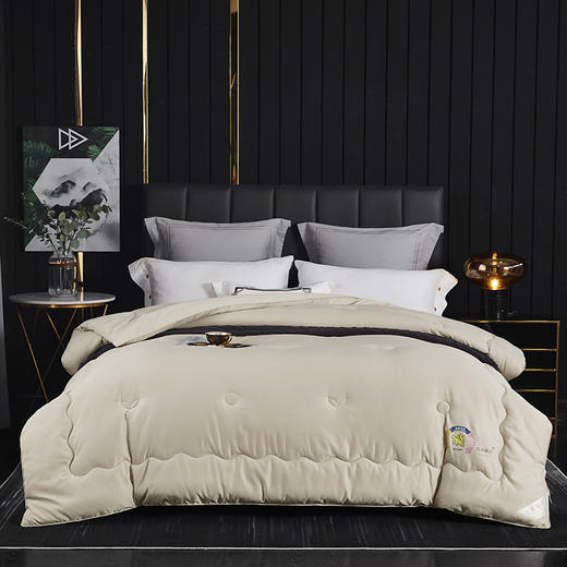 【轻生活】3A云绒纤维秋冬厚款生姜驱寒暖绒被ZP111 商品图0