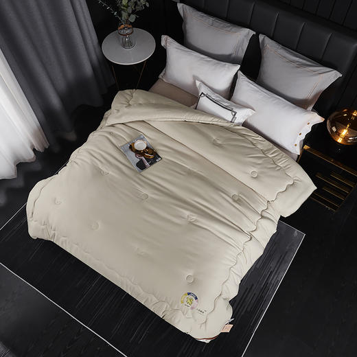 【轻生活】3A云绒纤维秋冬厚款生姜驱寒暖绒被ZP111 商品图2