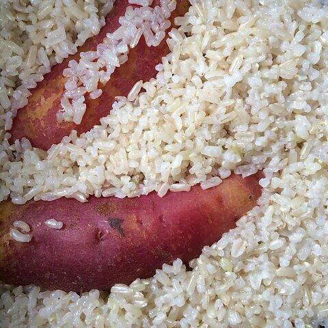 2025年金薯， 烤红薯必备，自然农法紫薯、板栗香薯 || 今年遇极端气候个头偏小，介意者慎拍！永继农场 商品图11