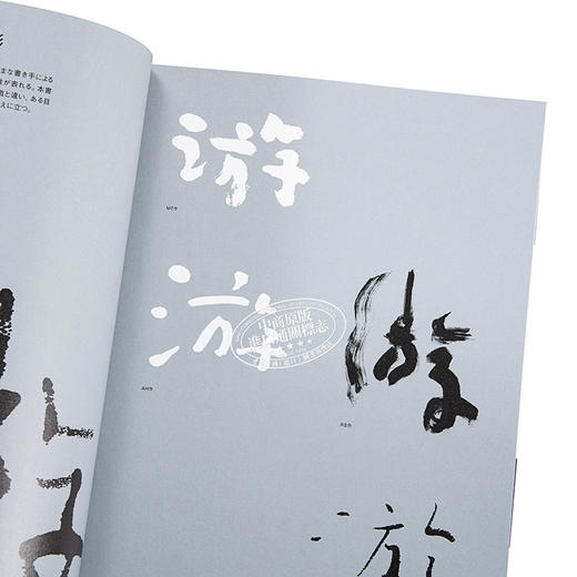 【中商原版】设计书法手册 日文原版 デザイン書道マニュアル 商品图3
