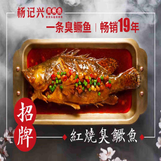 徽菜招牌~【杨记兴臭鳜鱼】475g/条，带料，徽菜头道招牌菜 商品图4