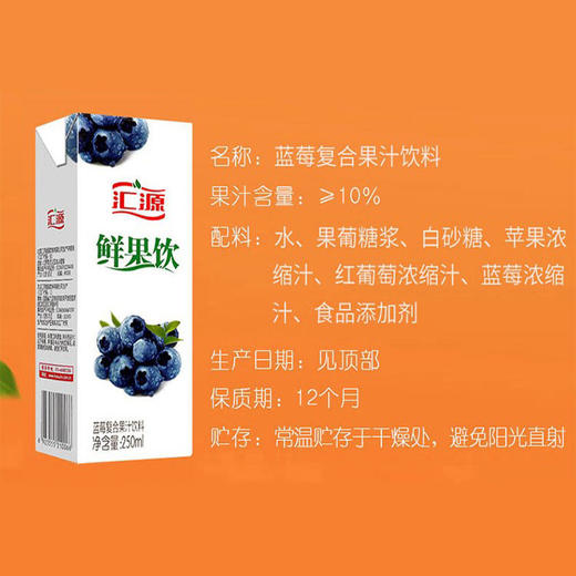 汇源蓝莓果汁饮料250ml 商品图0