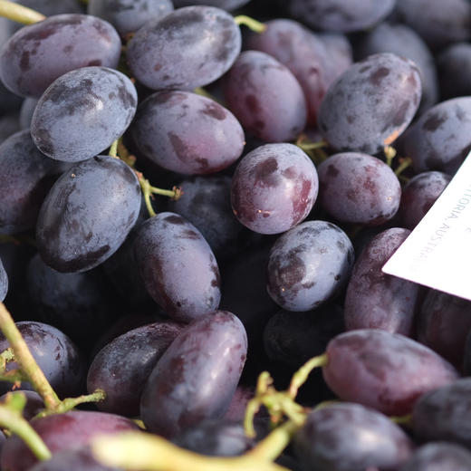 上海直发包邮06新疆黑葡萄闪送发货