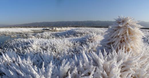 zhangrongceshi 商品图0