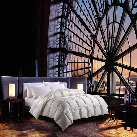 【专享秀场】包邮到家！1200g玫玫95%鹅绒冬被2m*2.3m/2.2m*2.4m 商品图2