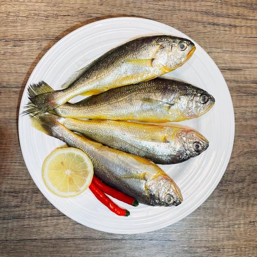 码头直发 象山海鲜套餐 商品图1