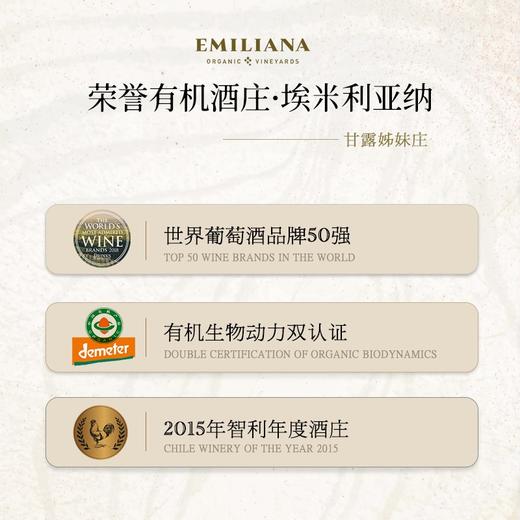 【世界葡萄酒品牌50强】柯雅干红葡萄酒 智利空加瓜谷产区 13.5%vol 商品图6