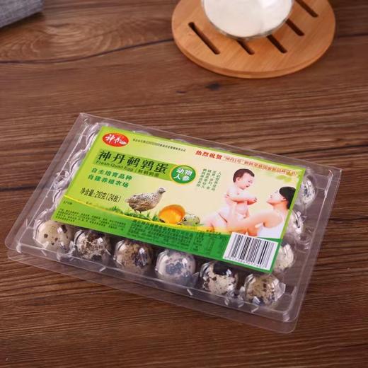 神丹鹌鹑蛋24枚（鲜） 商品图0