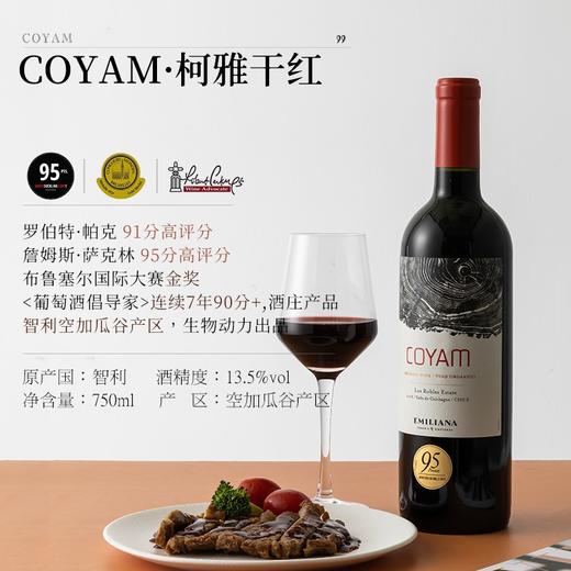 【世界葡萄酒品牌50强】柯雅干红葡萄酒 智利空加瓜谷产区 13.5%vol 商品图1