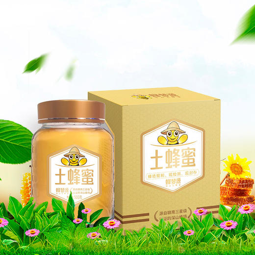 蜂梦源土蜂蜜500g | 自然好蜂蜜 商品图0