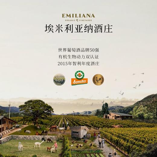 【世界葡萄酒品牌50强】柯雅干红葡萄酒 智利空加瓜谷产区 13.5%vol 商品图4