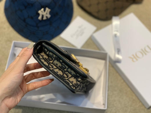 Dior 原单老花woc 商品图1