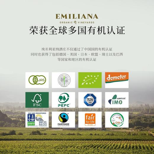 【世界葡萄酒品牌50强】柯雅干红葡萄酒 智利空加瓜谷产区 13.5%vol 商品图3