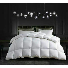 【专享秀场】包邮到家！1200g玫玫95%鹅绒冬被2m*2.3m/2.2m*2.4m