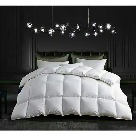 【专享秀场】包邮到家！1200g玫玫95%鹅绒冬被2m*2.3m/2.2m*2.4m 商品图0