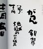 【中商原版】设计书法手册 日文原版 デザイン書道マニュアル 商品缩略图7