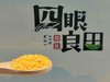 四眼良田｜沁州黄小米/黑小米5斤装布袋/家庭装 商品缩略图6