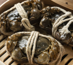 【三两寻味】固城湖大闸蟹 公4.0两  母3.0两