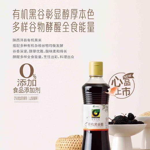 【下单后48小时左右发货】禾然 有机黑谷醋500m*2瓶 商品图2