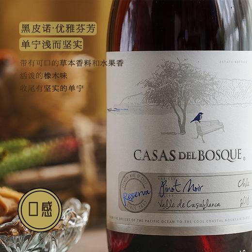 【IWSC国际葡萄酒暨烈酒大赛金奖】卡萨博斯克 阿空加瓜·布兰卡山谷·黑皮诺 商品图1