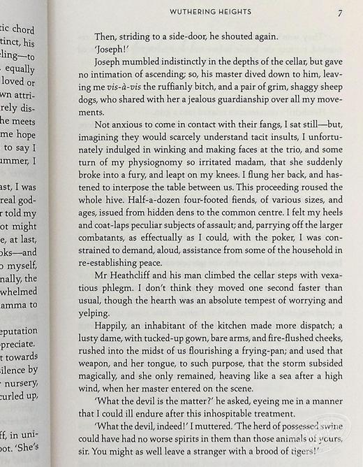 【中商原版】Wuthering Heights:  (Penguin Classics Deluxe Edition) 呼啸山庄 企鹅兰登封面展 商品图5