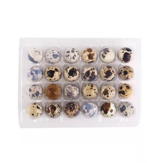 神丹鹌鹑蛋24枚（鲜） 商品图2