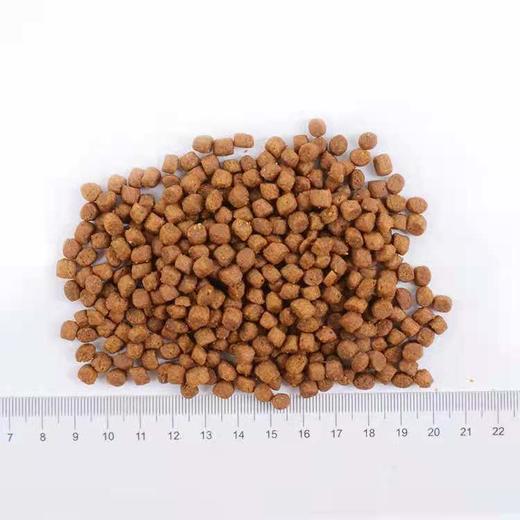 绿福摩无谷三文鱼鸭肉蔬菜 猫粮 4磅/10磅 商品图2