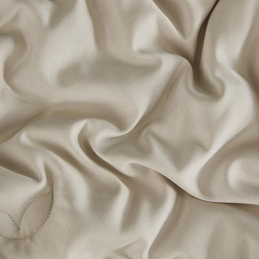 【轻生活】3A云绒纤维秋冬厚款生姜驱寒暖绒被ZP111 商品图4