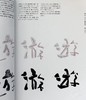 【中商原版】设计书法手册 日文原版 デザイン書道マニュアル 商品缩略图5