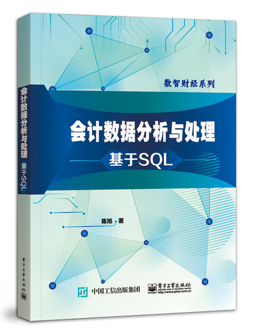 会计数据分析与处理：基于SQL 商品图0