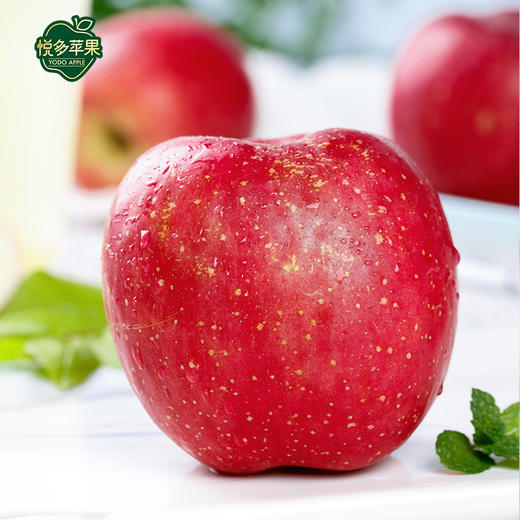 【悦多】苹果山东富硒红富士苹果8果礼盒年货节日水果包邮 商品图2