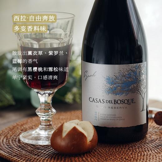 【《 智利葡萄酒年鉴》高分推荐】卡萨伯斯克特藏西拉 智利原瓶进口 商品图1