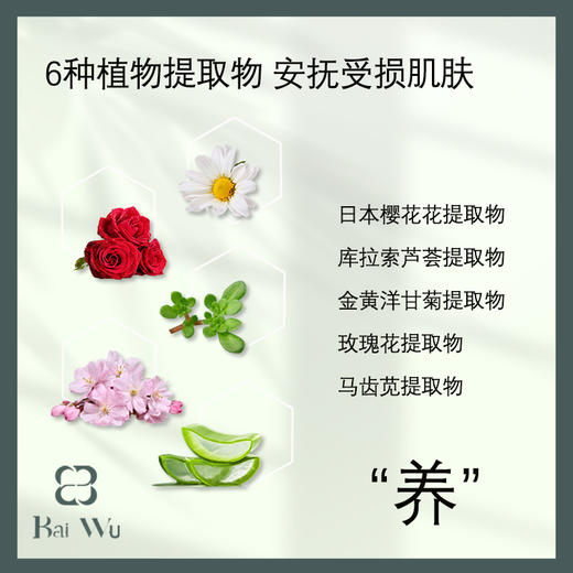 柏物烟酰胺沐浴露/柏物益生元洗发水/柏物海盐洗头膏 烟酰胺沐浴露以油养肤6重植萃祛痘 益生元洗发水 隐形发缝氨基酸丰盈去油去头屑  海盐洗头膏 富含烟酰胺清洁头皮去油滋养丰盈洗护 商品图6